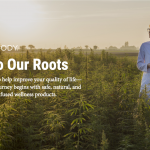 Best Way to Get Involved in the Fast-growing Medicinal Hemp Industry